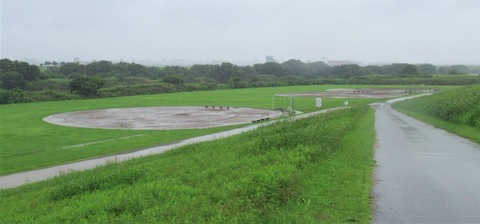 IMG_2271 (2)