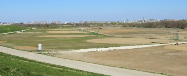 IMG_6596 (2)