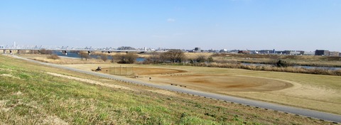 IMG_6386 (2)