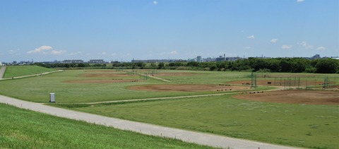 IMG_1520 (2)