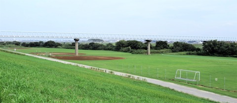 IMG_7926 (3)