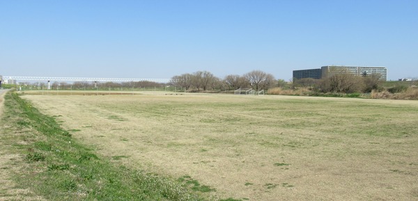IMG_0092 (2)