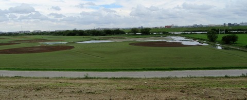 IMG_2240 (2)