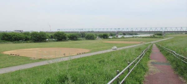 IMG_8797 (2)