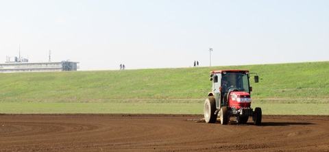 IMG_1608 (2)