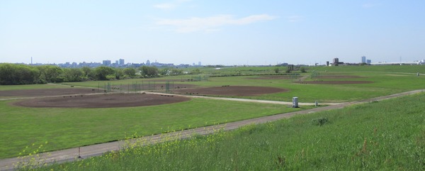 IMG_0403 (2)