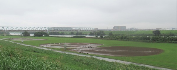 IMG_7951 (2)