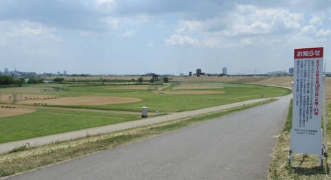 IMG_1316 (2)