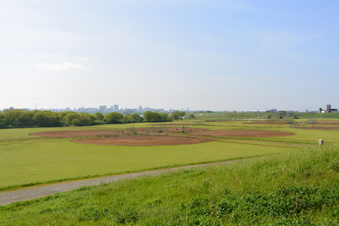 DSC_0876