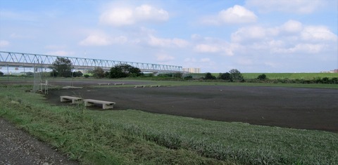 IMG_3168 (2)