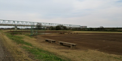 IMG_5377 (2)