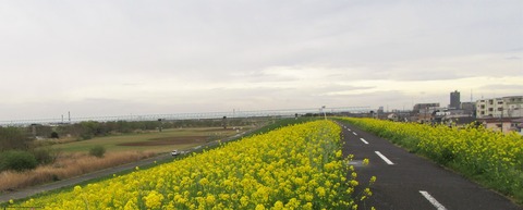 IMG_7220 (2)