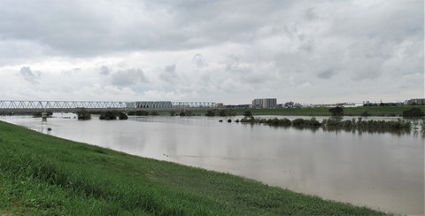 IMG_4263 (2)