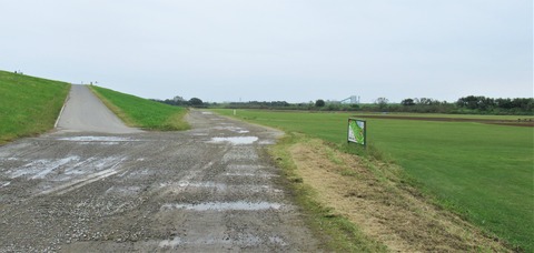 IMG_4209 (2)