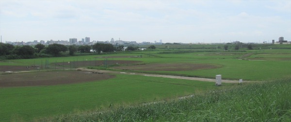 IMG_8053 (2)