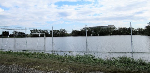 IMG_1412 (2)