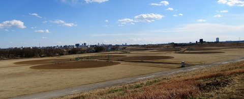 IMG_6334 (2)