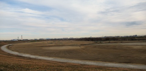 IMG_2510 (2)