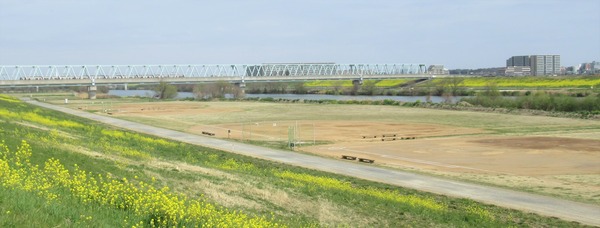 IMG_0197 (2)