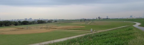 IMG_4557 (2)