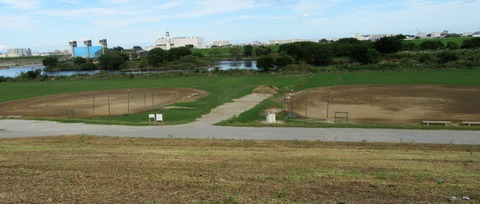 IMG_3805 (2)