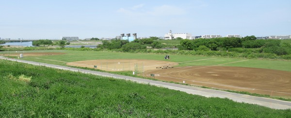 IMG_3386 (2)