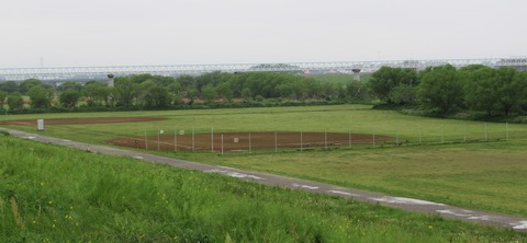 IMG_1003 (2)