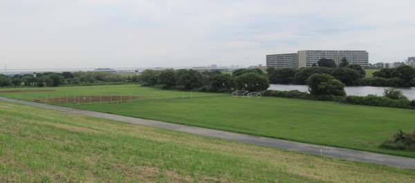 IMG_1229 (2)