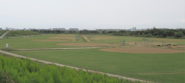 IMG_8898 (2)