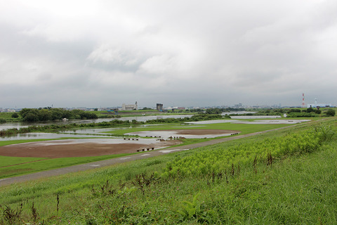 ２８番０１