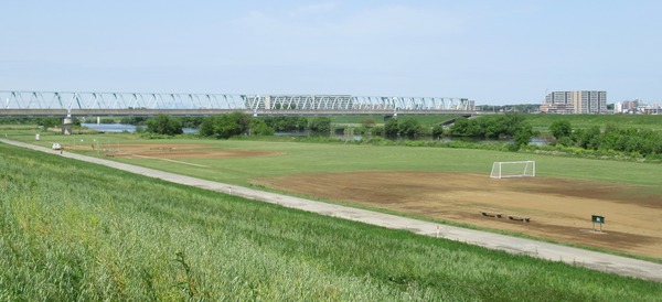 IMG_3390 (2)