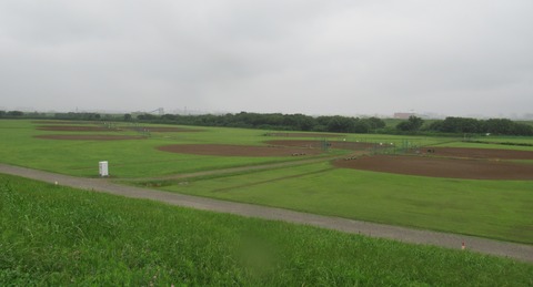 IMG_6368 (2)