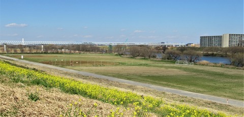IMG_0274 (2)