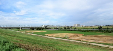 IMG_7867 (2)