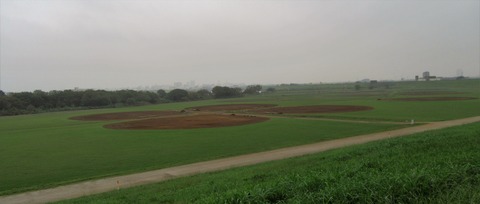 IMG_3599 (2)