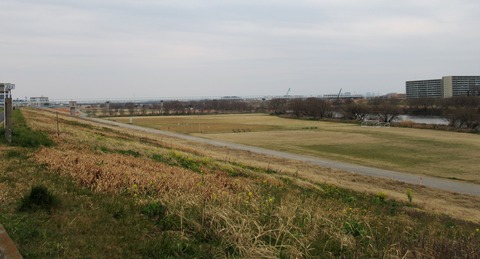 IMG_0056 (2)