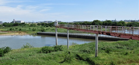 IMG_1344 (2)