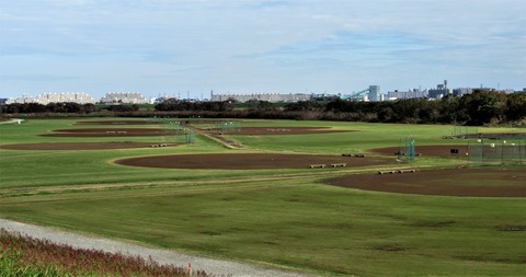 IMG_8576 (3)