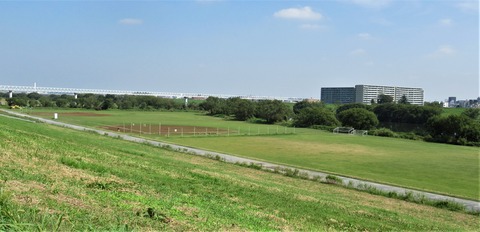 IMG_3934 (2)