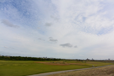 DSC_1049