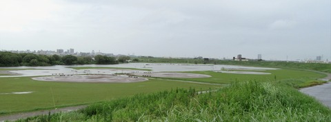 IMG_1446 (2)