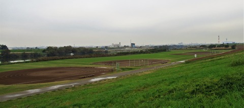 IMG_8798 (2)