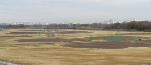 IMG_2691 (2)