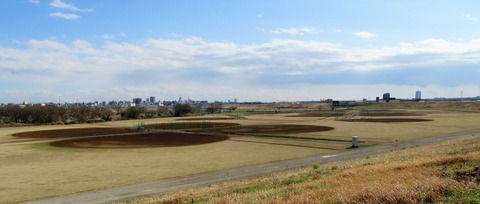 IMG_6527 (2)