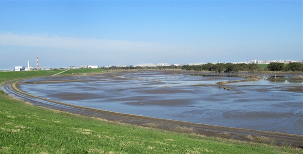IMG_4455 (2)