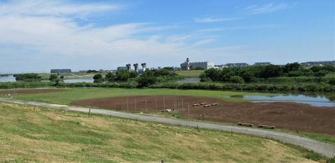 IMG_1347 (2)