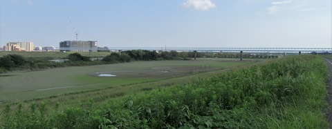 IMG_1761 (2)