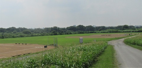 IMG_2807 (2)