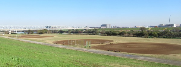 IMG_2610 (2)