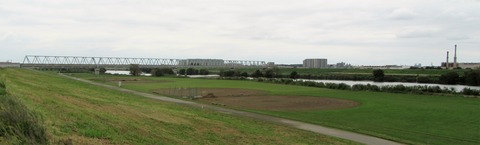 IMG_3949 (2)
